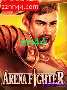ArenaFighter